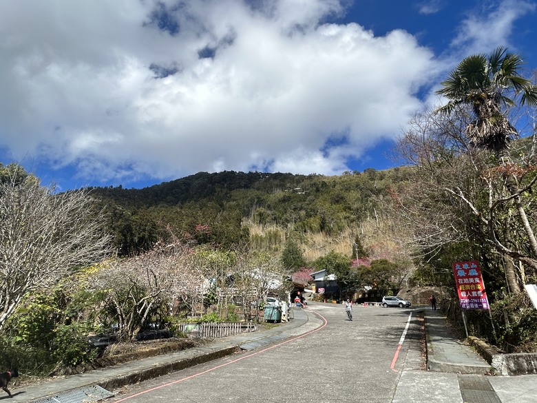 頂湖大凍山國家森林步道健行