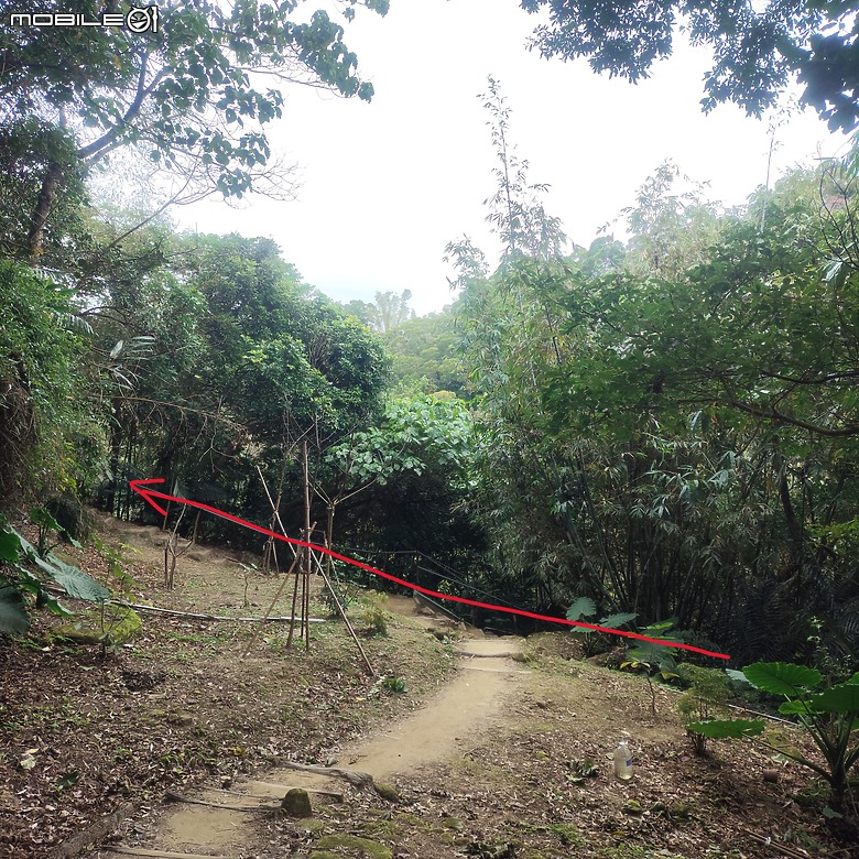 三崁頂健康步道，當地人的秘密後花園，練腿力的好地方