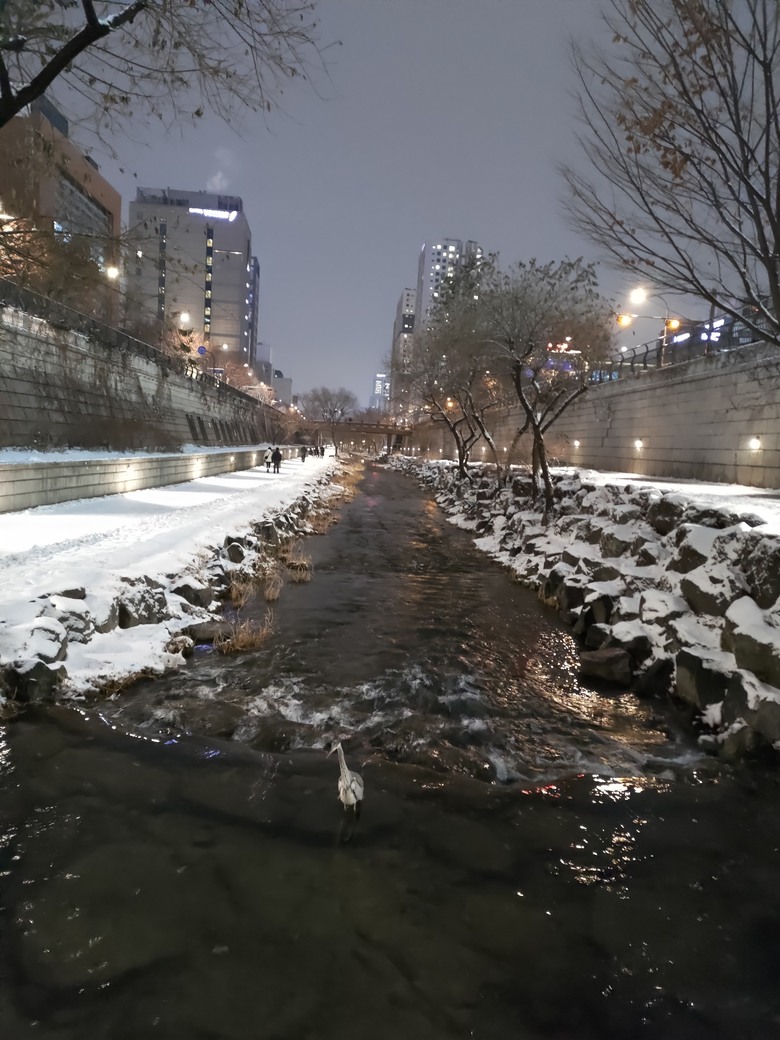 探索首爾雪景！親子旅行趣-iVideo WiFi實測心得