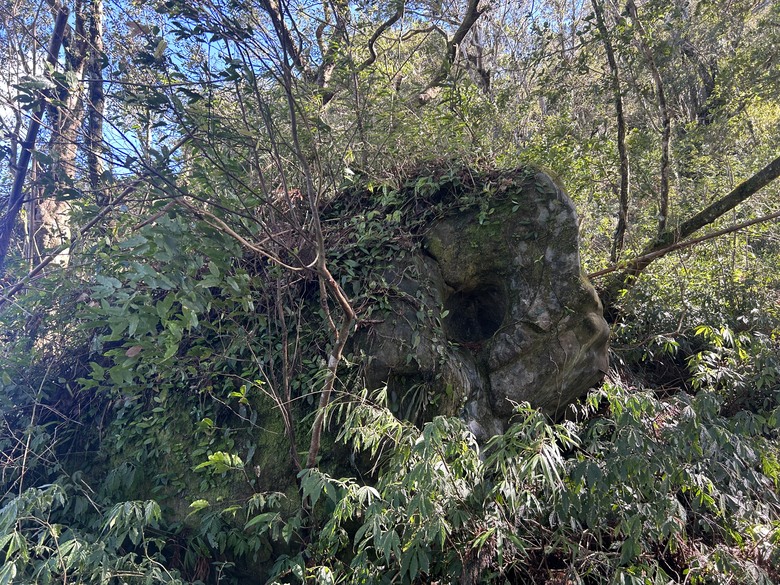 頂湖大凍山國家森林步道健行