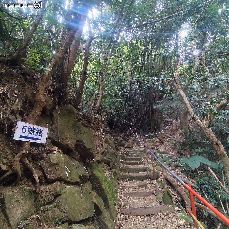 三崁頂健康步道，當地人的秘密後花園，練腿力的好地方
