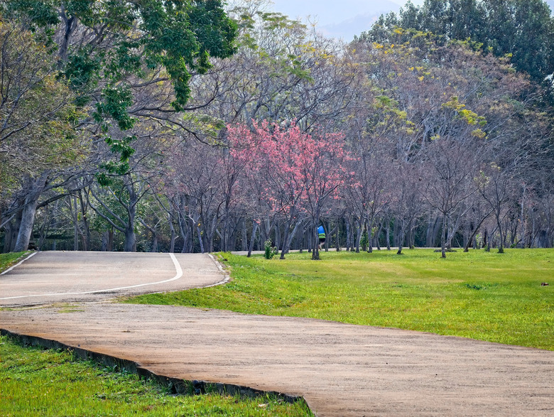 頭前溪南岸自行車道|竹北高鐵站→竹東大橋→內灣