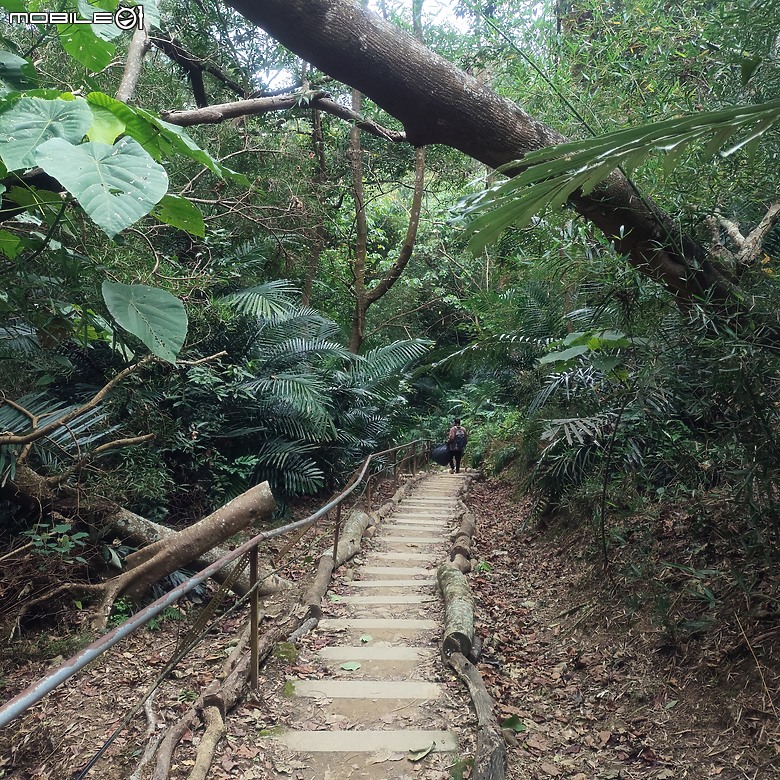 三崁頂健康步道，當地人的秘密後花園，練腿力的好地方