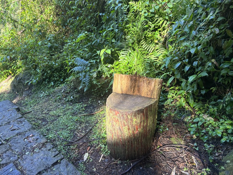 頂湖大凍山國家森林步道健行