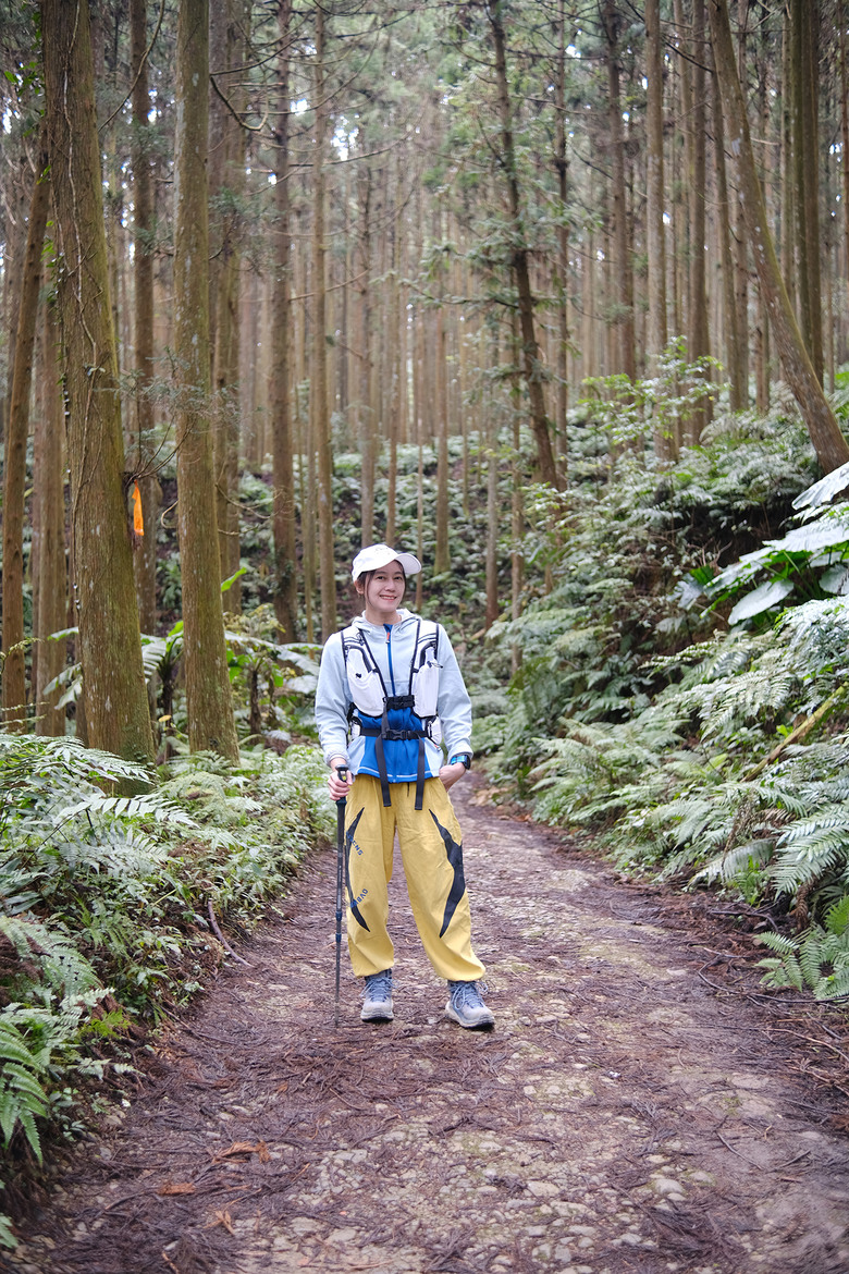 【鵝公髻山】林相絕美的新竹縣小百岳 | 山上人家農場第三登山口起登