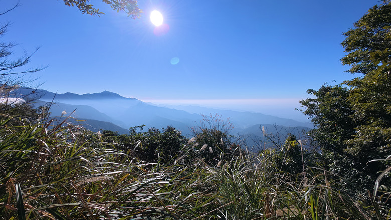 【鵝公髻山】林相絕美的新竹縣小百岳 | 山上人家農場第三登山口起登