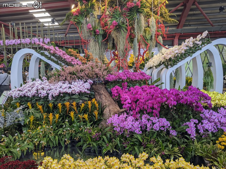 花在彰化 彰化縣溪州鄉中央路三段138號 02/01