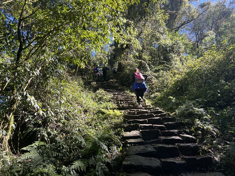 頂湖大凍山國家森林步道健行