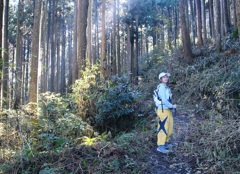 【鵝公髻山】林相絕美的新竹縣小百岳 | 山上人家農場第三登山口起登