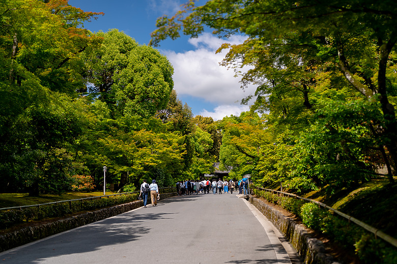 【關西】獨旅，京都古城篇(二)