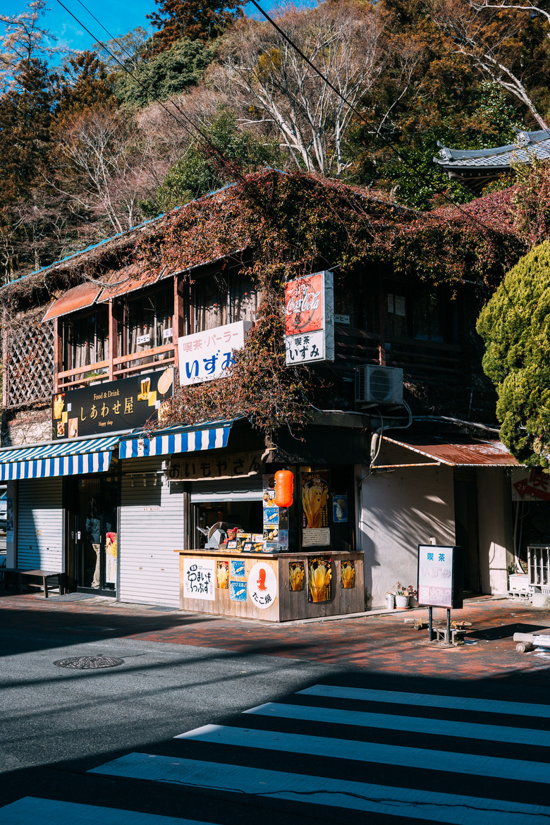 [NIKON ZF] 神戶散策