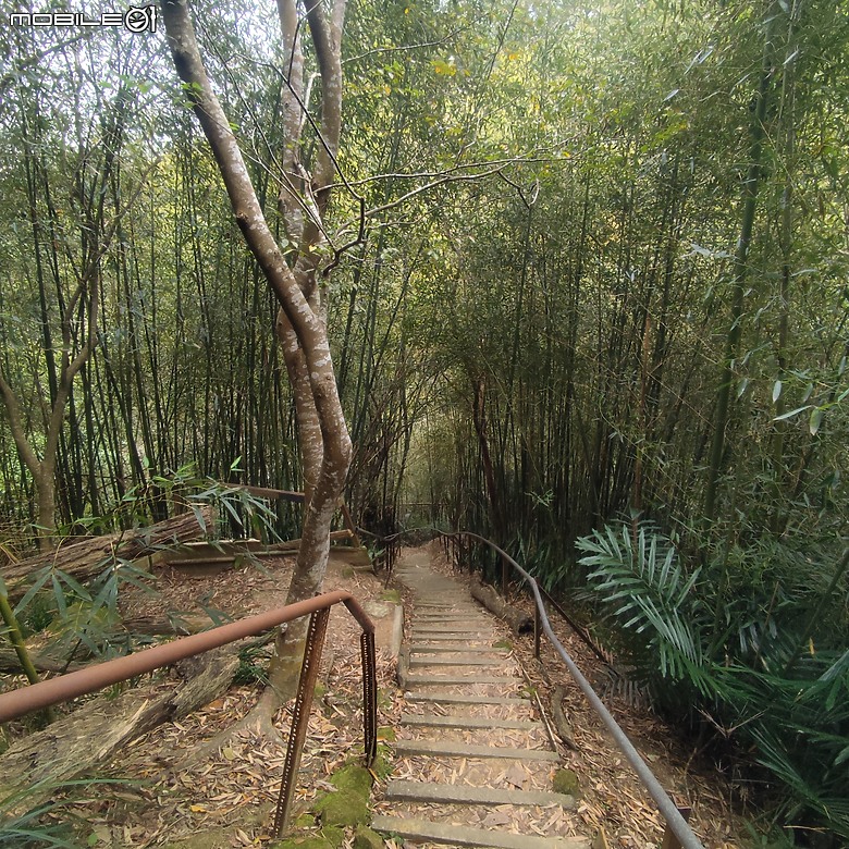 三崁頂健康步道，當地人的秘密後花園，練腿力的好地方