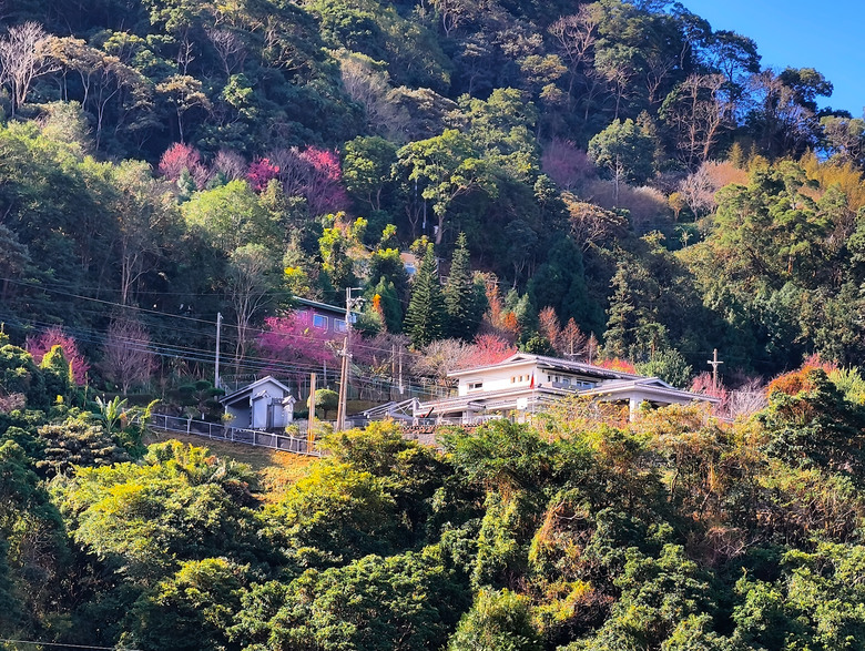 頭前溪南岸自行車道|竹北高鐵站→竹東大橋→內灣