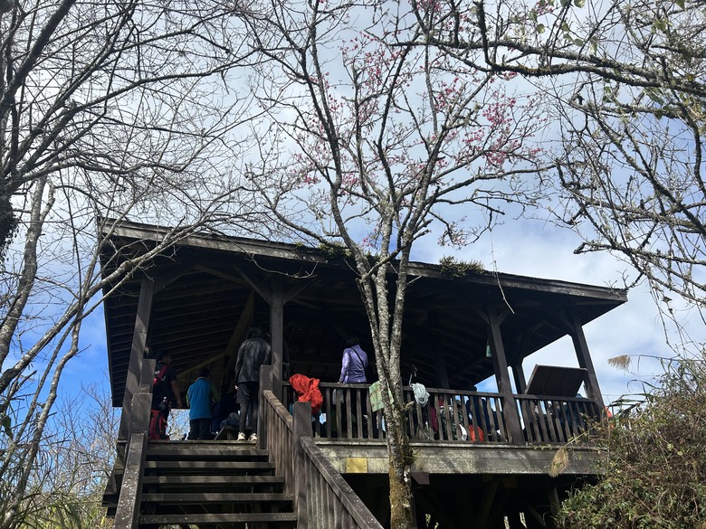 頂湖大凍山國家森林步道健行