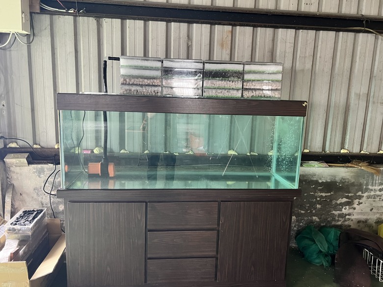 魚缸真的一次到位才好