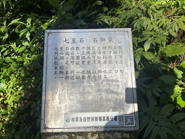 頂湖大凍山國家森林步道健行