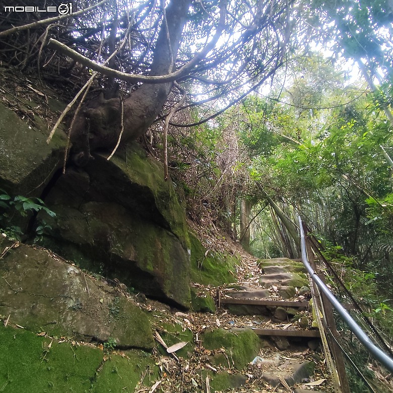 三崁頂健康步道，當地人的秘密後花園，練腿力的好地方