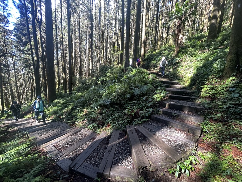 頂湖大凍山國家森林步道健行