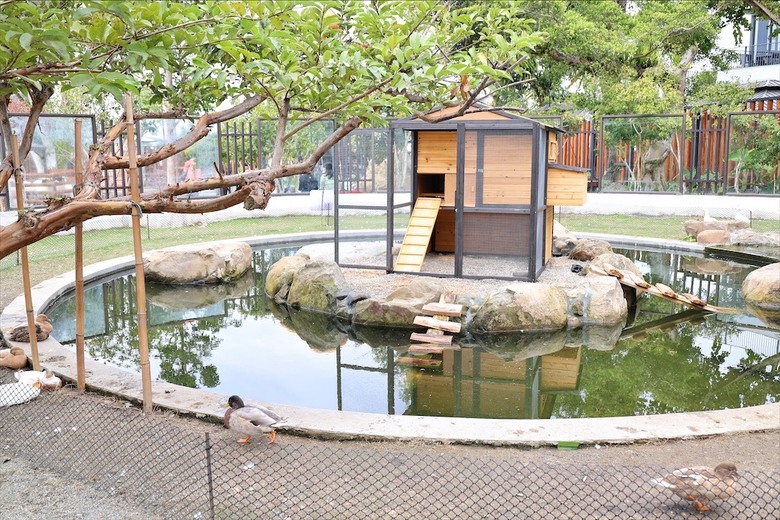 山巒景色讓人感到美不勝收，園區有超人氣的水豚君、笑笑羊，也有許多可愛小動物