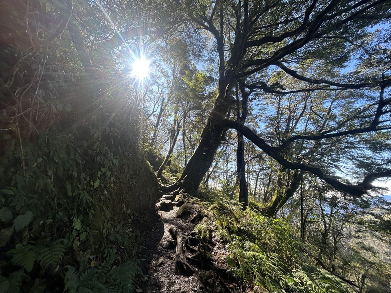 頂湖大凍山國家森林步道健行