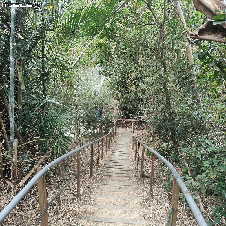 三崁頂健康步道，當地人的秘密後花園，練腿力的好地方