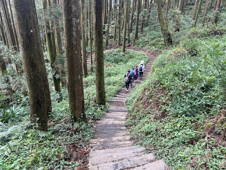 頂湖大凍山國家森林步道健行