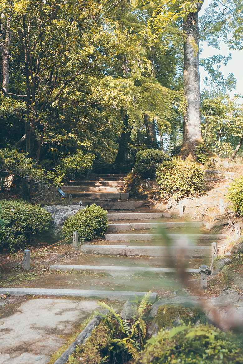 【關西】獨旅，京都古城篇(二)