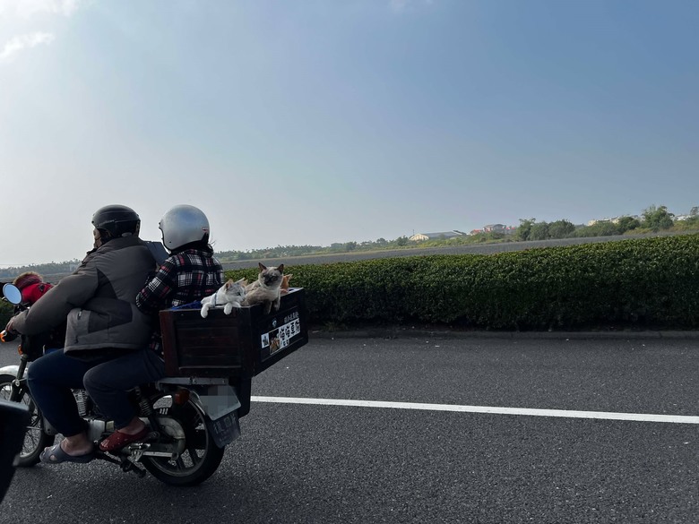 車城 落山風藝術季 【看海美術館展區、海口村街道及村落展區、墾丁長灘休閒飯店、紅柴。居 山海之隅】,順遊恆春縣城東門及北門、恆春文化中心民謠館,品嚐半島特色美食 — 香酥鴨、綠豆蒜 — 2025年初 國境之南看海賞藝小旅行 【小惡魔畫蛇添福】補篇(2)