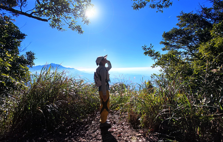 【鵝公髻山】林相絕美的新竹縣小百岳 | 山上人家農場第三登山口起登