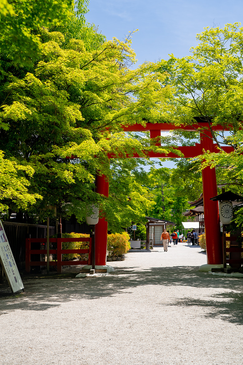 【關西】獨旅，京都古城篇(二)
