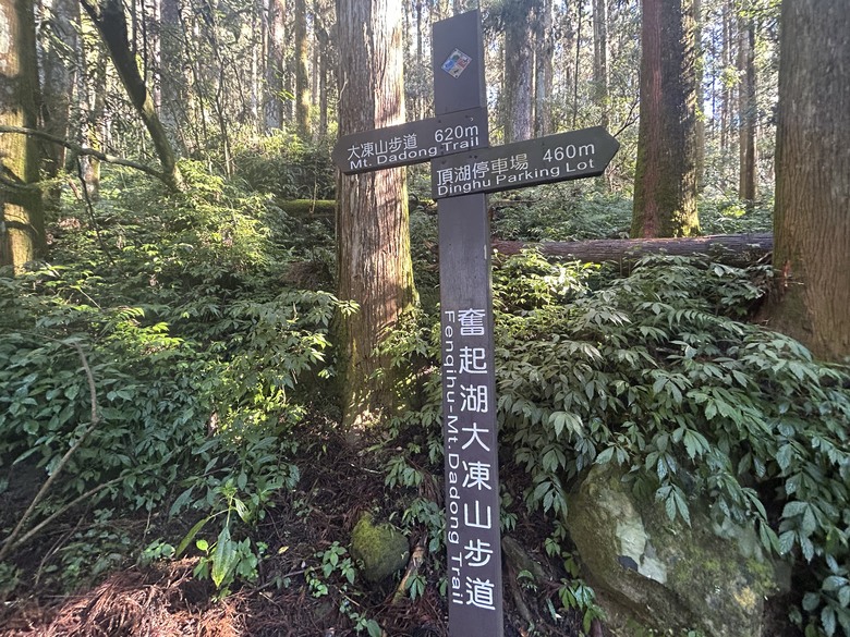 頂湖大凍山國家森林步道健行