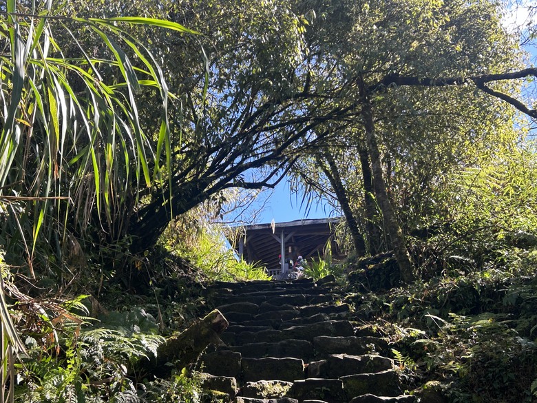 頂湖大凍山國家森林步道健行