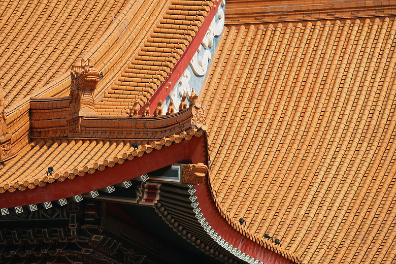 點我看大圖 Sony FE 400-800mm f/6.3-8 G OSS 評測報告|E-mount 首顆 800mm 砲降臨!