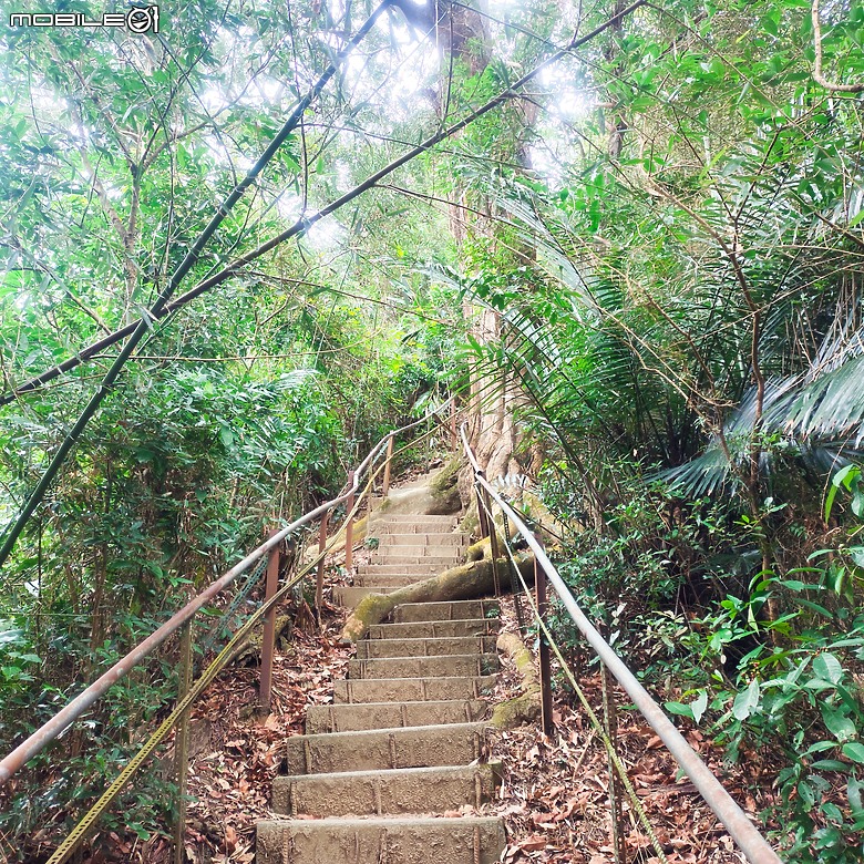 三崁頂健康步道，當地人的秘密後花園，練腿力的好地方