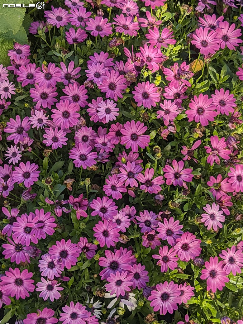 花在彰化 彰化縣溪州鄉中央路三段138號 02/01