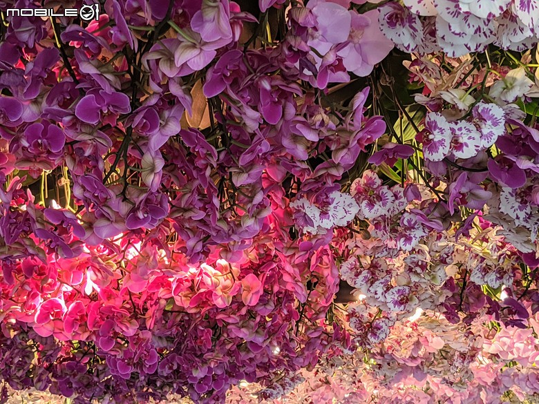 花在彰化 彰化縣溪州鄉中央路三段138號 02/01