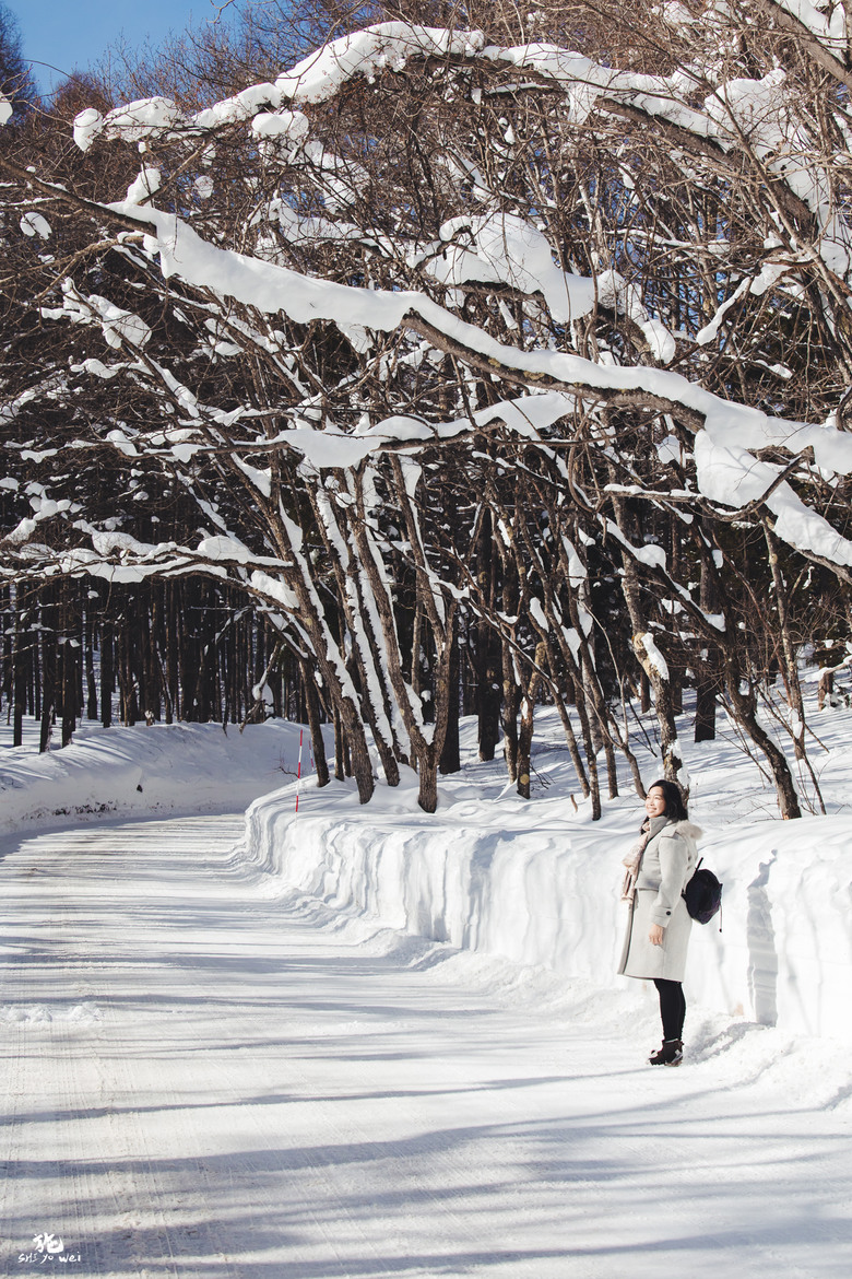 【日本長野】雪景戶隱神社