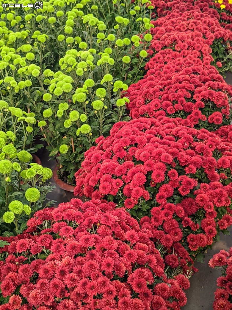 花在彰化 彰化縣溪州鄉中央路三段138號 02/01