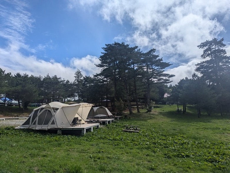 遠的要命的農場 ▶▶ 2024 梨山|福壽山農場 露營去 ➦大眾運輸攻略分享版,不開車也可抵達