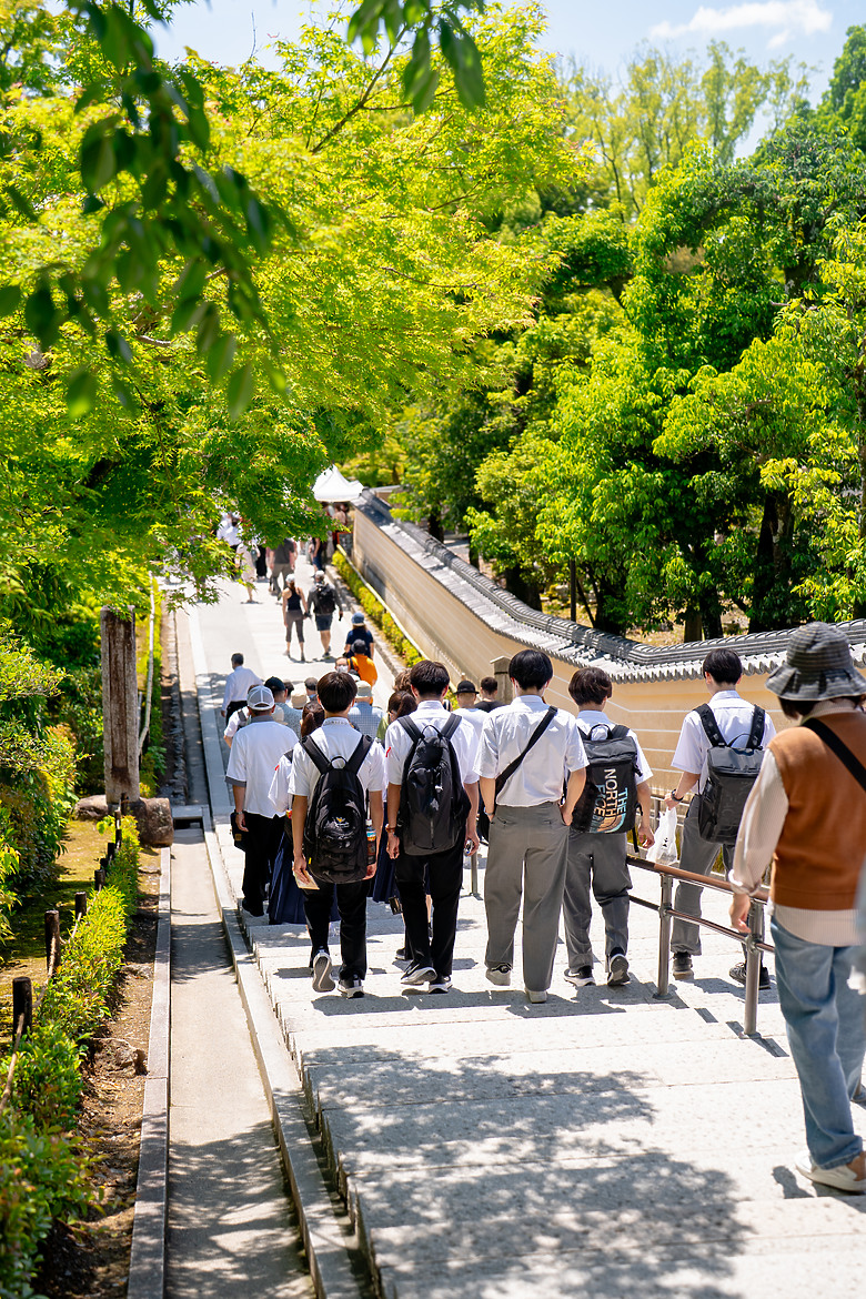 【關西】獨旅，京都古城篇(二)