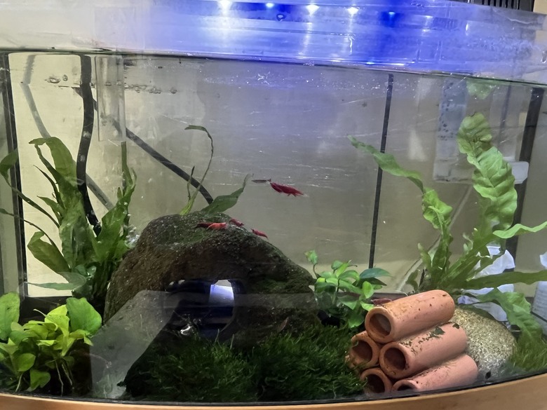魚缸真的一次到位才好