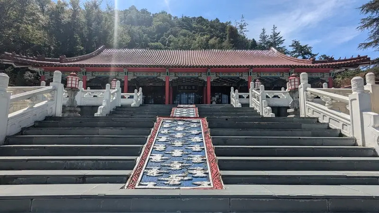 遠的要命的農場 ▶▶ 2024 梨山|福壽山農場 露營去 ➦大眾運輸攻略分享版,不開車也可抵達