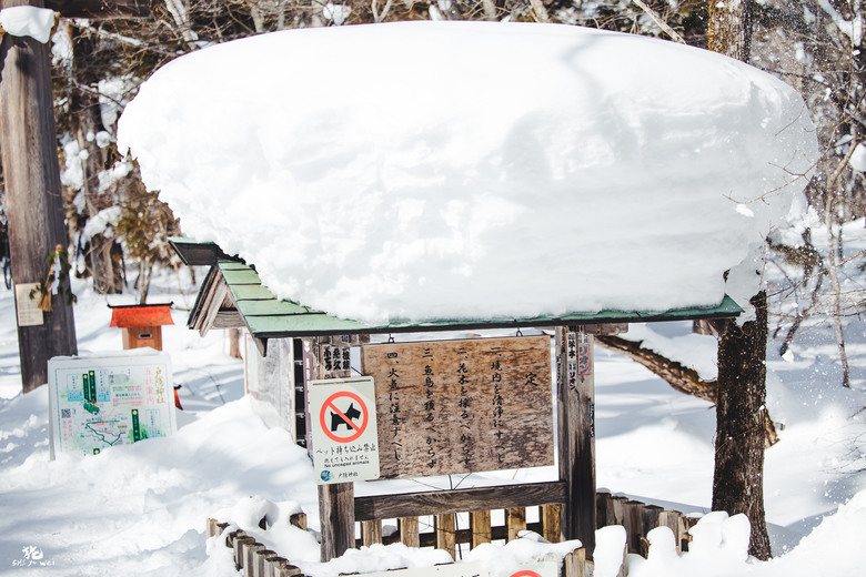 【日本長野】雪景戶隱神社