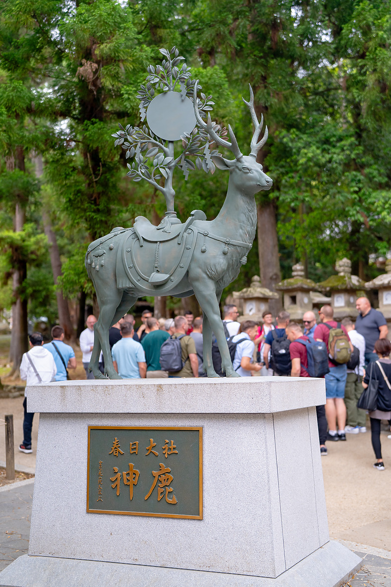 【關西】獨旅，奈良篇