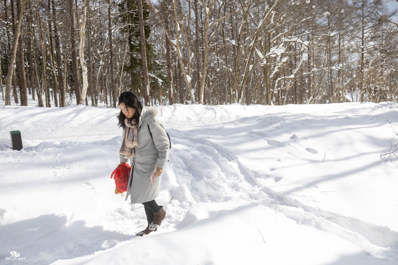 【日本長野】雪景戶隱神社