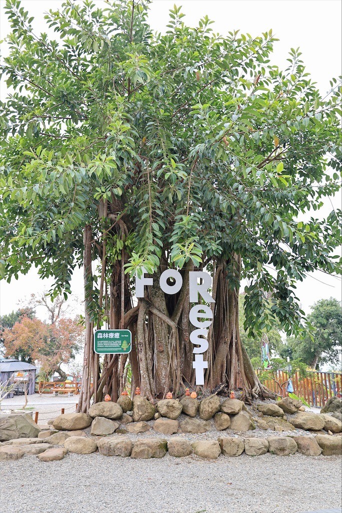 山巒景色讓人感到美不勝收，園區有超人氣的水豚君、笑笑羊，也有許多可愛小動物