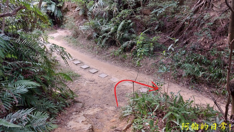 【郊山走走】 台湾よ、永に幸なれ。台灣幸福石、展翅高飛丹鳳山、熱門健行景點軍艦岩 輕鬆健行北投10連峰