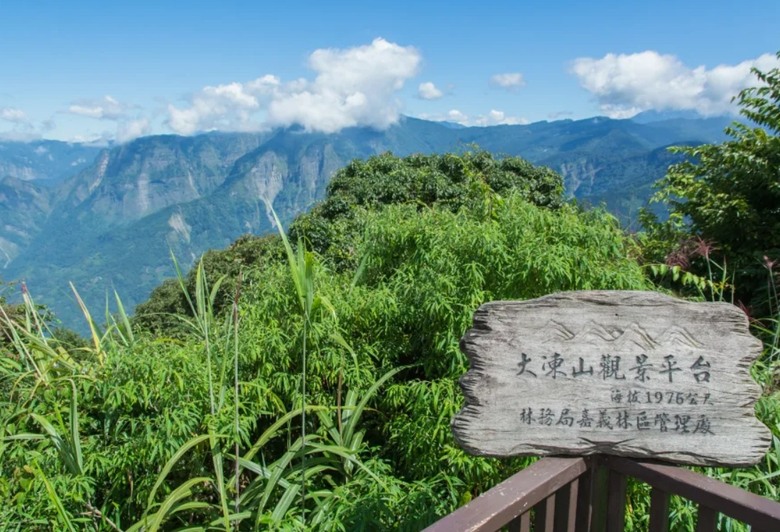 頂湖大凍山國家森林步道健行