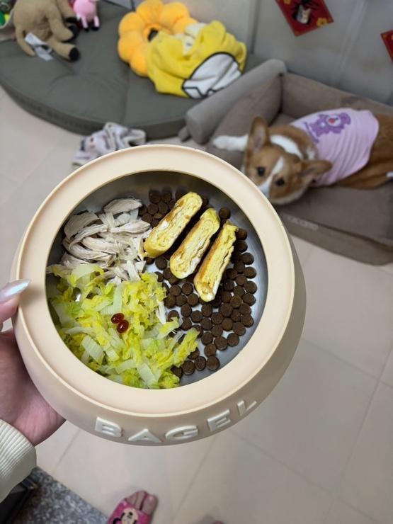 毛小孩關節保健～安適得食用分享