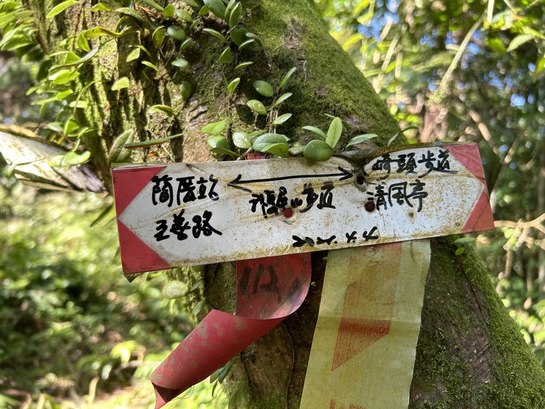 2024/2/14 狗殷勤古道、鵝尾山、紅色浮萍輕旅行